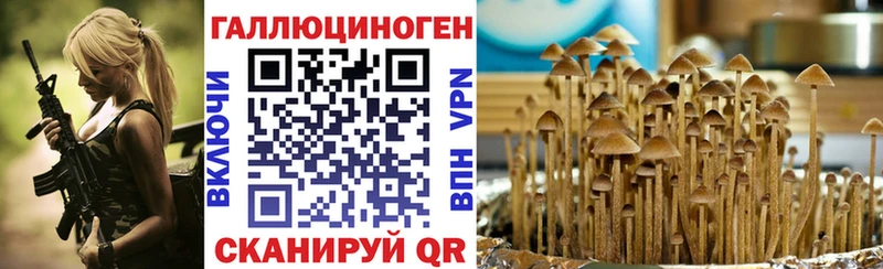 МЕГА ссылки  Белоозёрский  Псилоцибиновые грибы GOLDEN TEACHER 